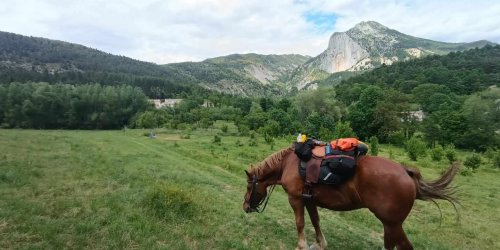 448921110 440745375438311 9175976429078359986 n